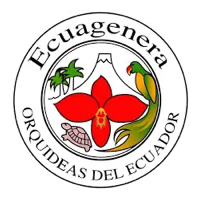 Ecuagenera Ecuagenera